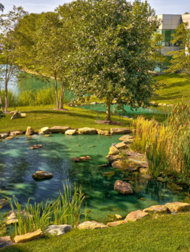 Virtual Tours and Amenties (50)