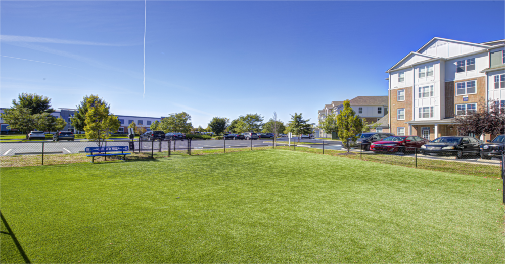Lakeside Dog Park